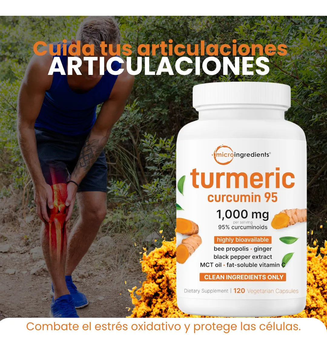 TURMERIC CURCUMA